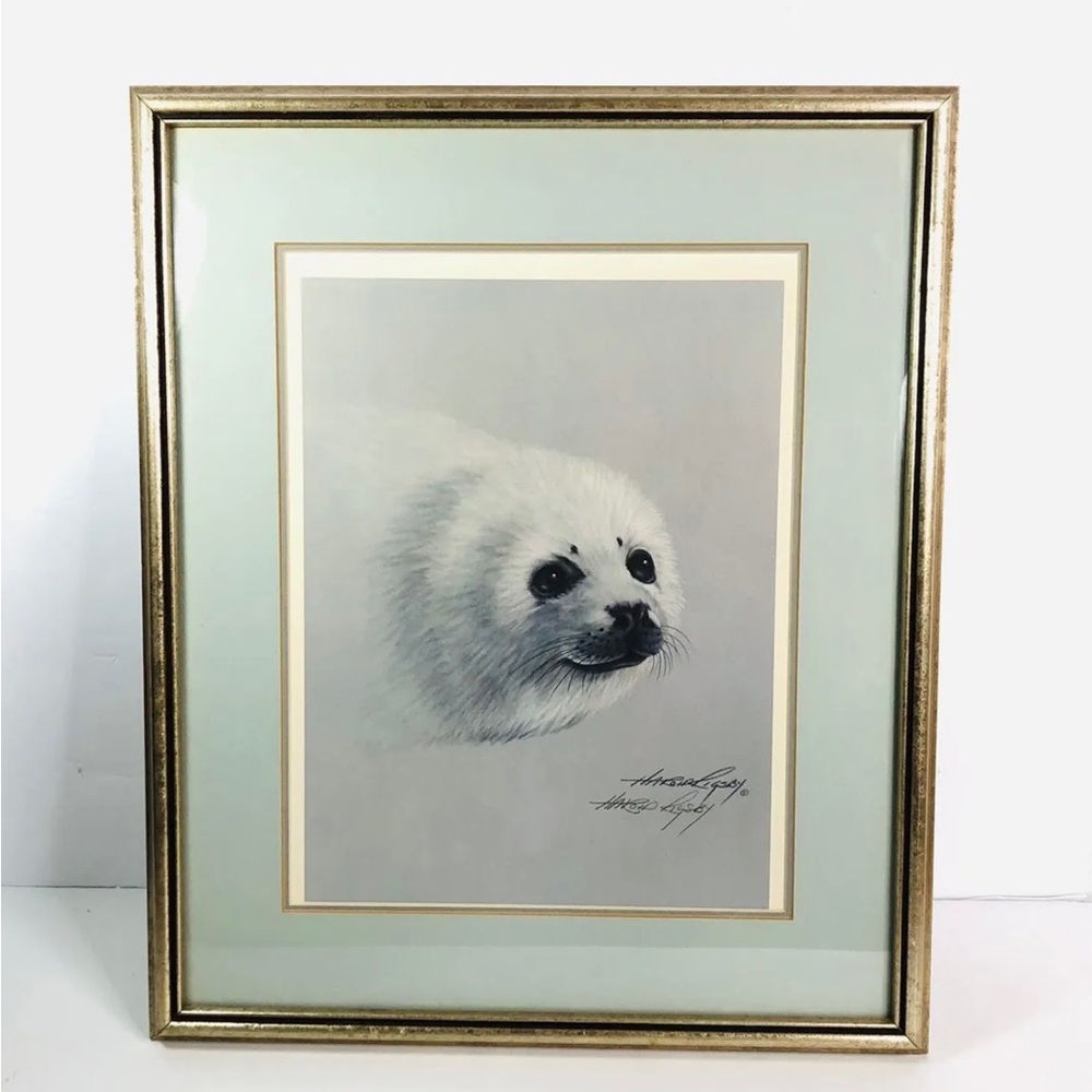 Harold Rigsby “Baby Harp Seal” Framed Print